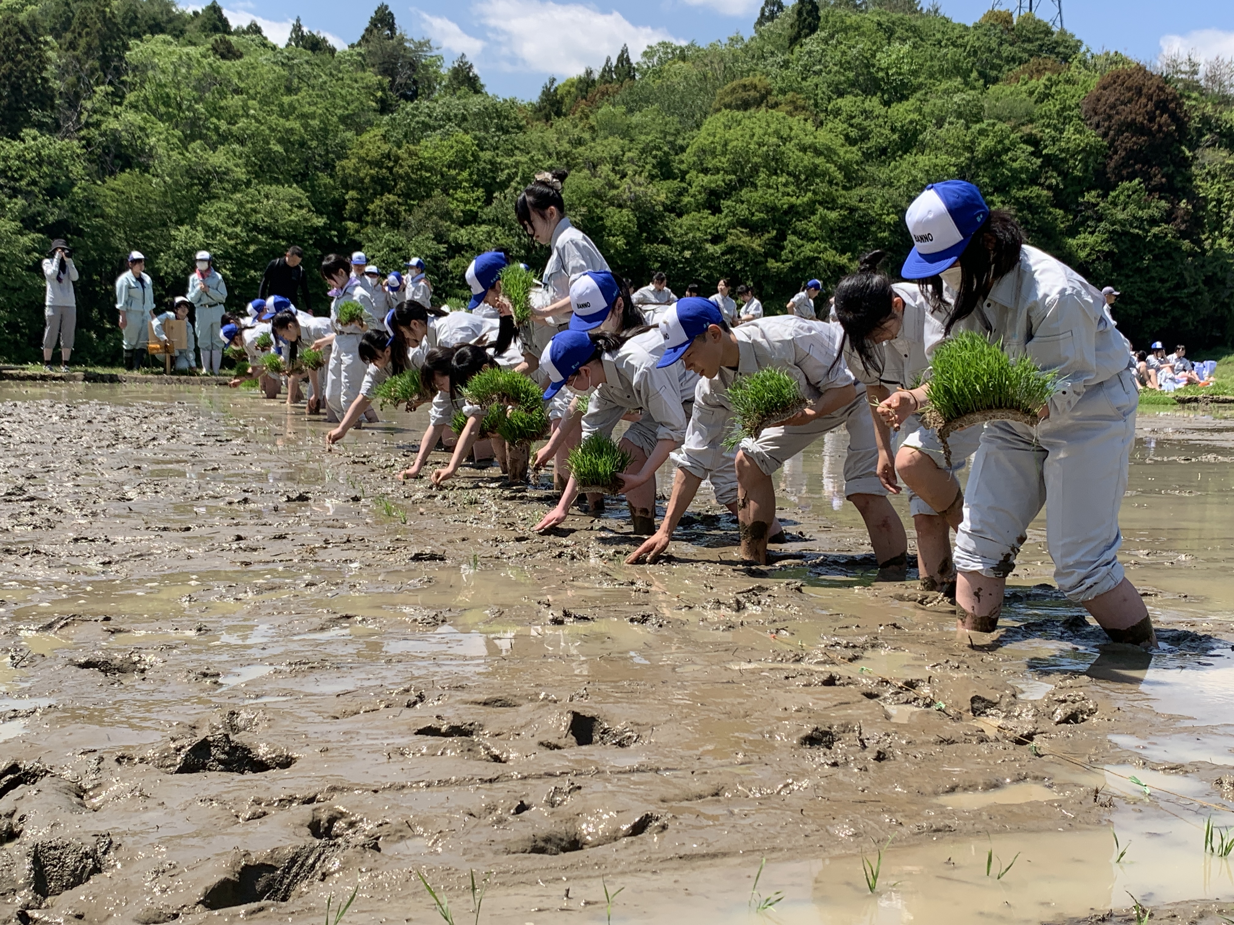 園芸