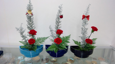 WIN_20251205_14_58_40_Pro